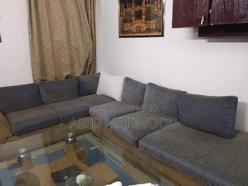 Spacious L-Shaped 7-Seater Sofa in Skin and Blue Colors