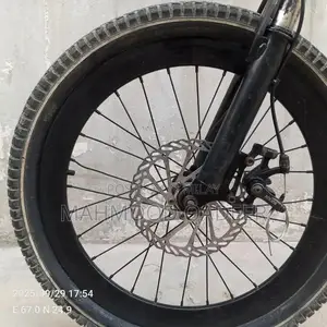 Blue Mountain Bicycle - Imported Chinese Model in Excellent Condition