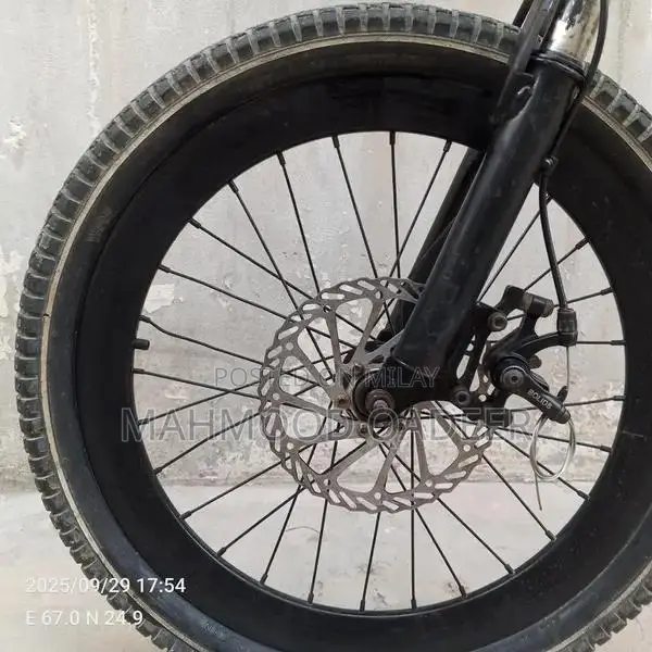 Blue Mountain Bicycle - Imported Chinese Model in Excellent Condition