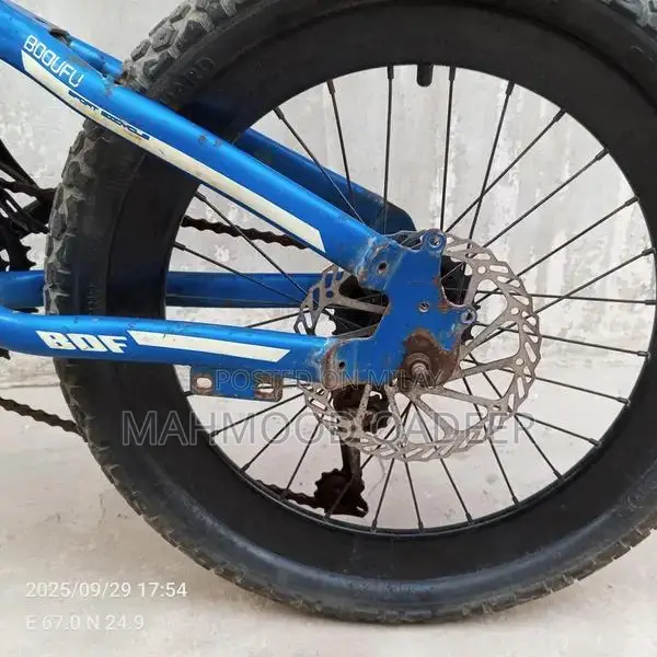 Blue Mountain Bicycle - Imported Chinese Model in Excellent Condition