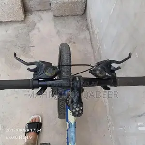 Blue Mountain Bicycle - Imported Chinese Model in Excellent Condition