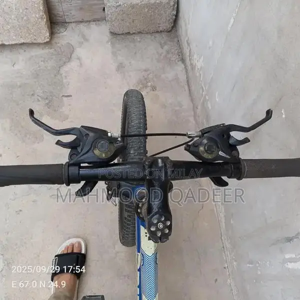 Blue Mountain Bicycle - Imported Chinese Model in Excellent Condition