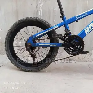 Blue Mountain Bicycle - Imported Chinese Model in Excellent Condition