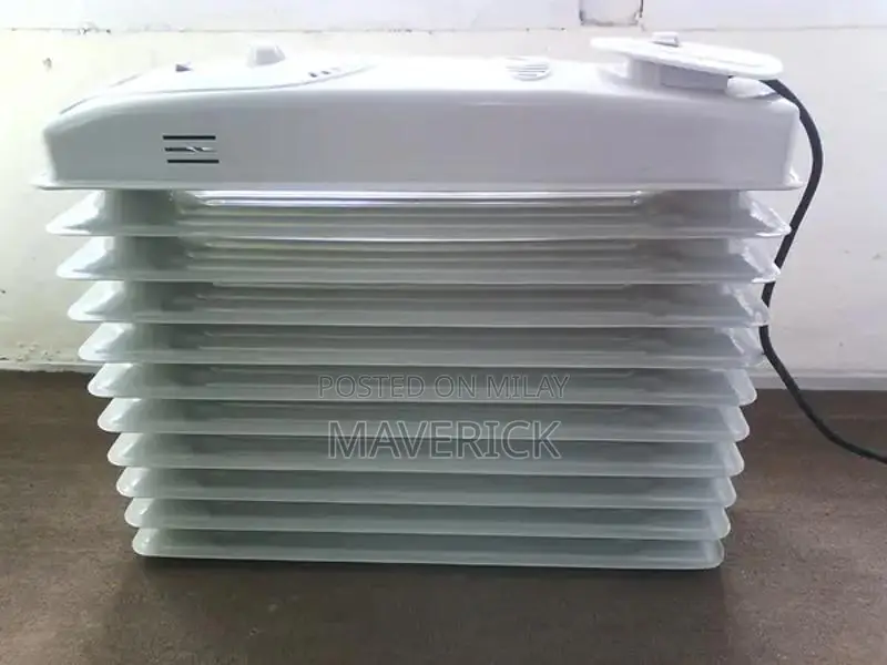 DeLonghi Electric Oil-Filled Radiator Heater with Thermostat