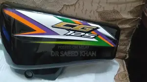 Photo - Motorcycle Side Cover Replacement Panel for 125cc Bike