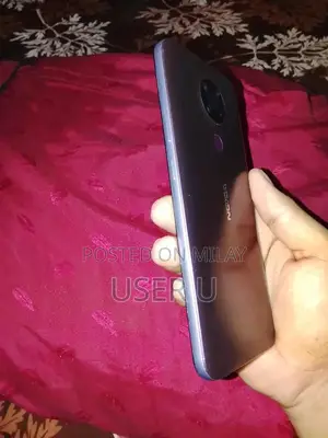 Nokia Budget Smartphone with Compact Design