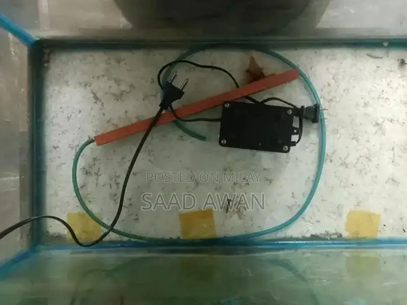 Decorative Fish Aquarium with Side Table and Accessories