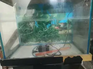 Decorative Fish Aquarium with Side Table and Accessories