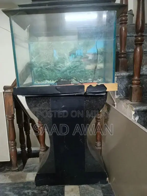 Decorative Fish Aquarium with Side Table and Accessories