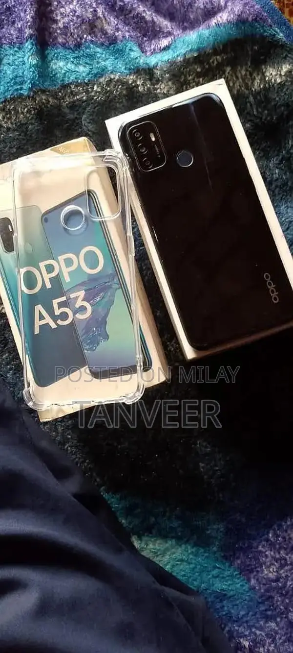 Livestock Agricultural Product: Chota Sahiwal Cattle from Sargodha