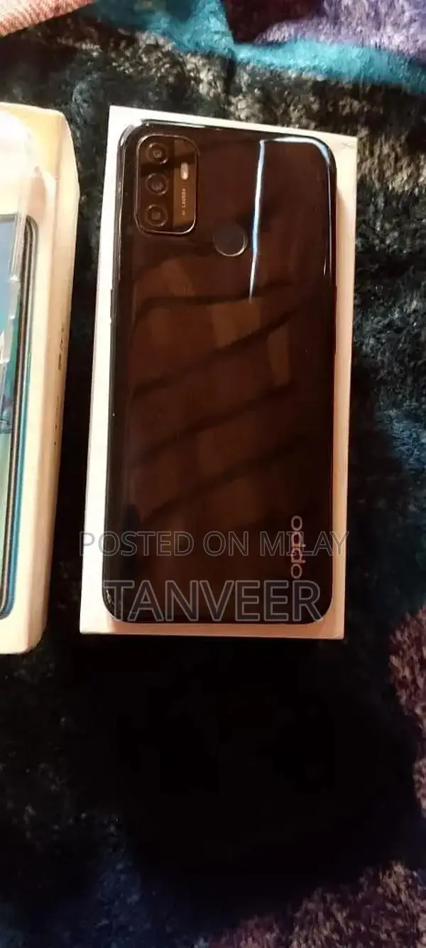 Livestock Agricultural Product: Chota Sahiwal Cattle from Sargodha