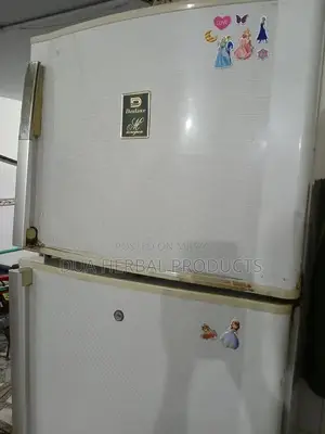 Large Double Door Refrigerator - Full Size Home Appliance