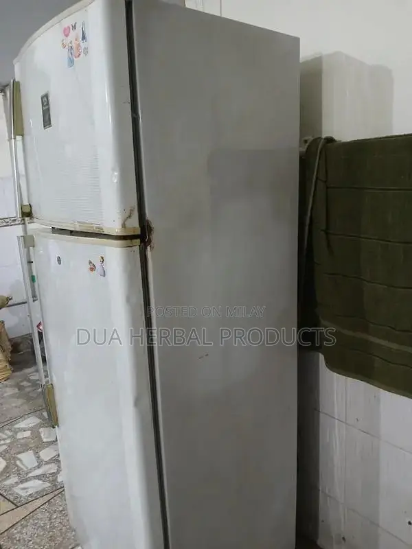 Large Double Door Refrigerator - Full Size Home Appliance