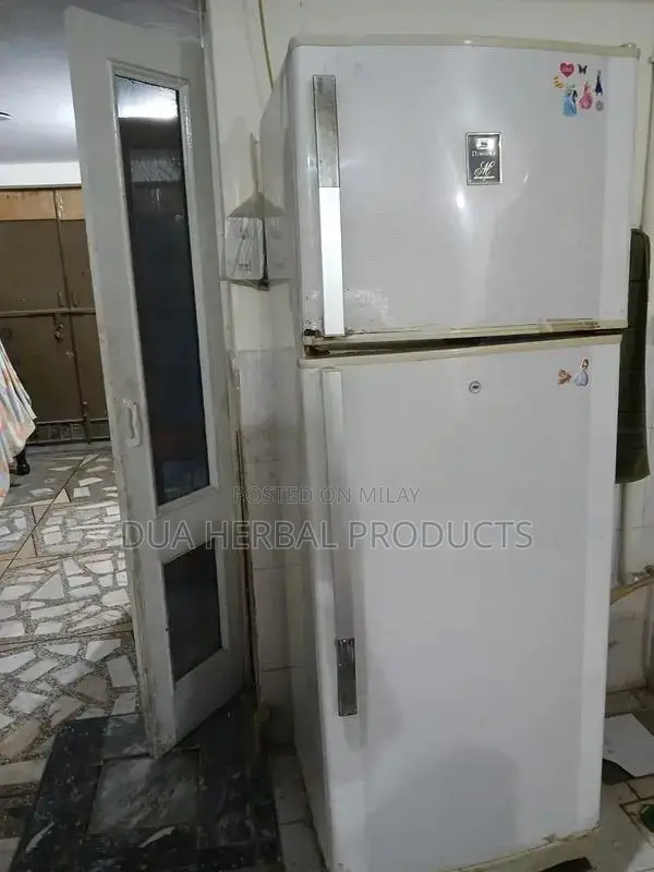 Large Double Door Refrigerator - Full Size Home Appliance