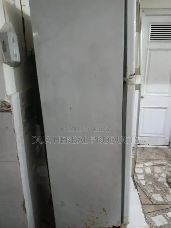 Large Double Door Refrigerator - Full Size Home Appliance