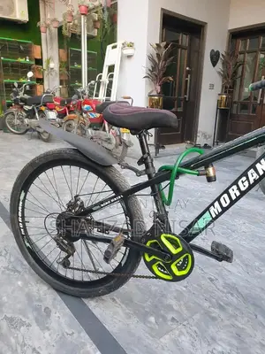 Morgan Full Size Bicycle - Classic Cycle for Riding