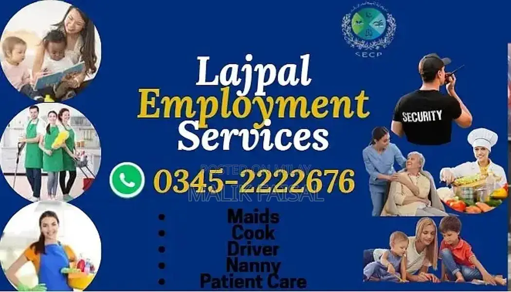 Professional Home Chef and Kitchen Helper for Household Support