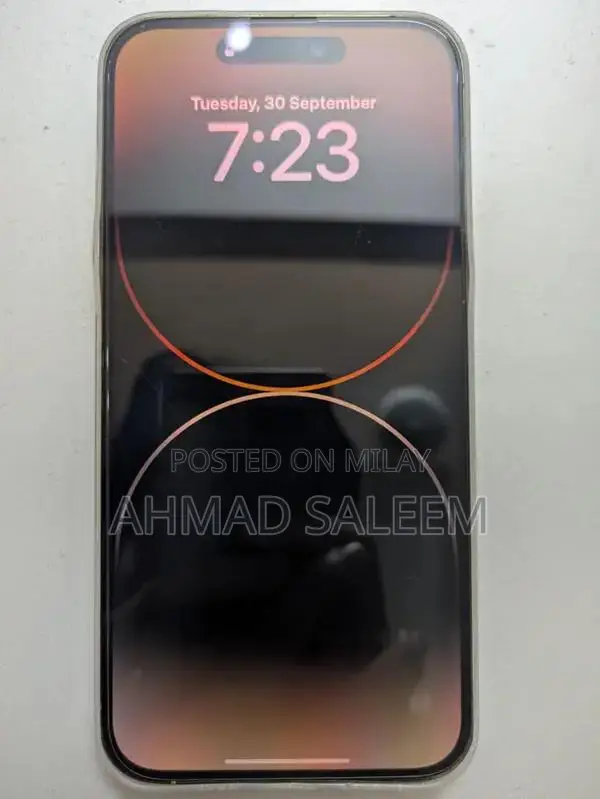 Premium Factory Unlocked Golden iPhone Pro Max Smartphone