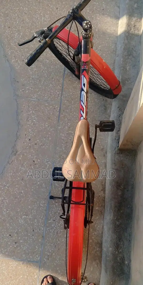 High-Quality Imported Bicycle in Excellent Condition