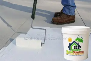 Professional Roof Waterproofing and Leakage Prevention Service