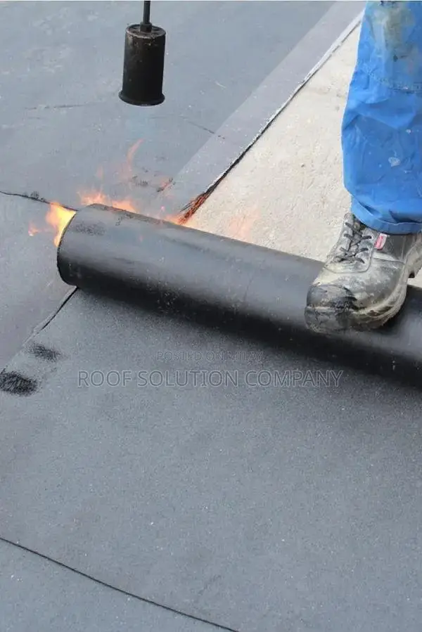 Professional Roof Waterproofing and Leakage Prevention Service