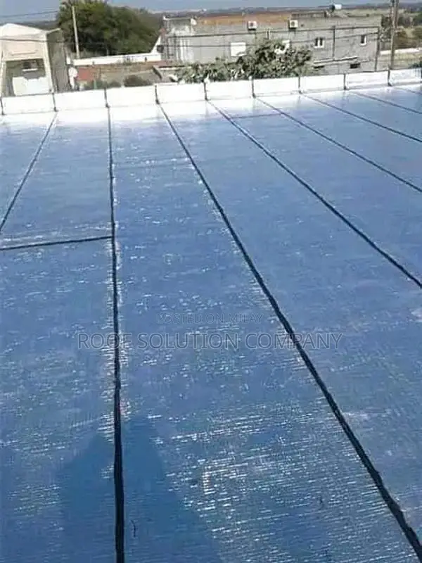 Professional Roof Waterproofing and Leakage Prevention Service