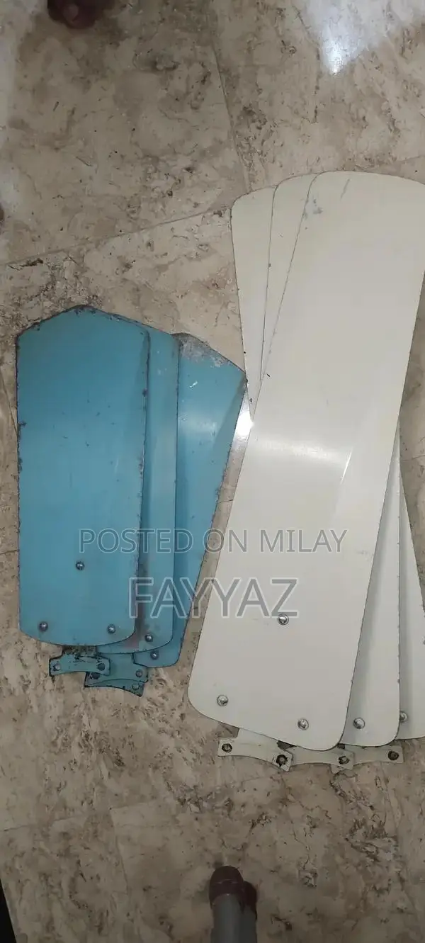 Three Ceiling Fans - Functional Home Cooling Solution