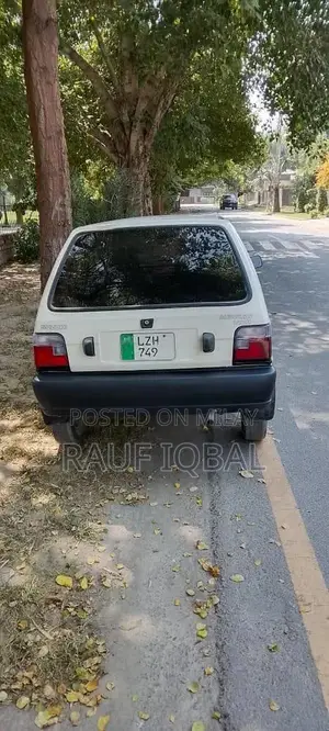 Automotive Vehicle with Multiple Door Options