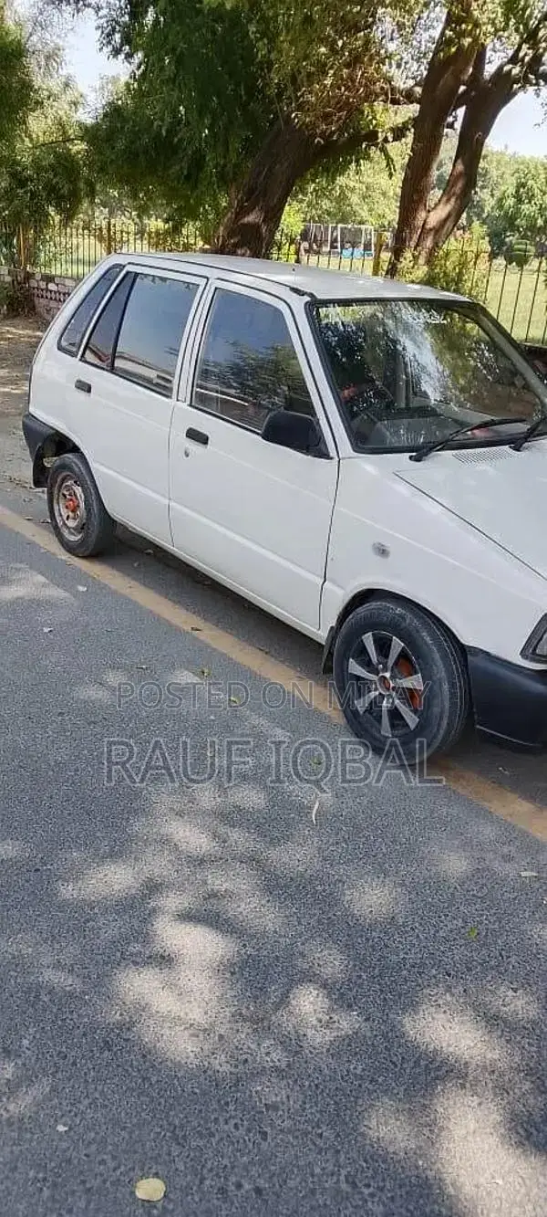 Automotive Vehicle with Multiple Door Options