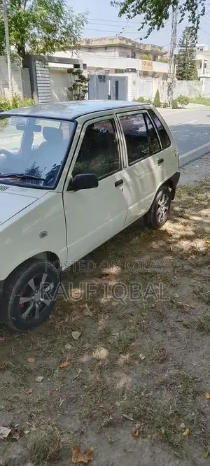 Automotive Vehicle with Multiple Door Options