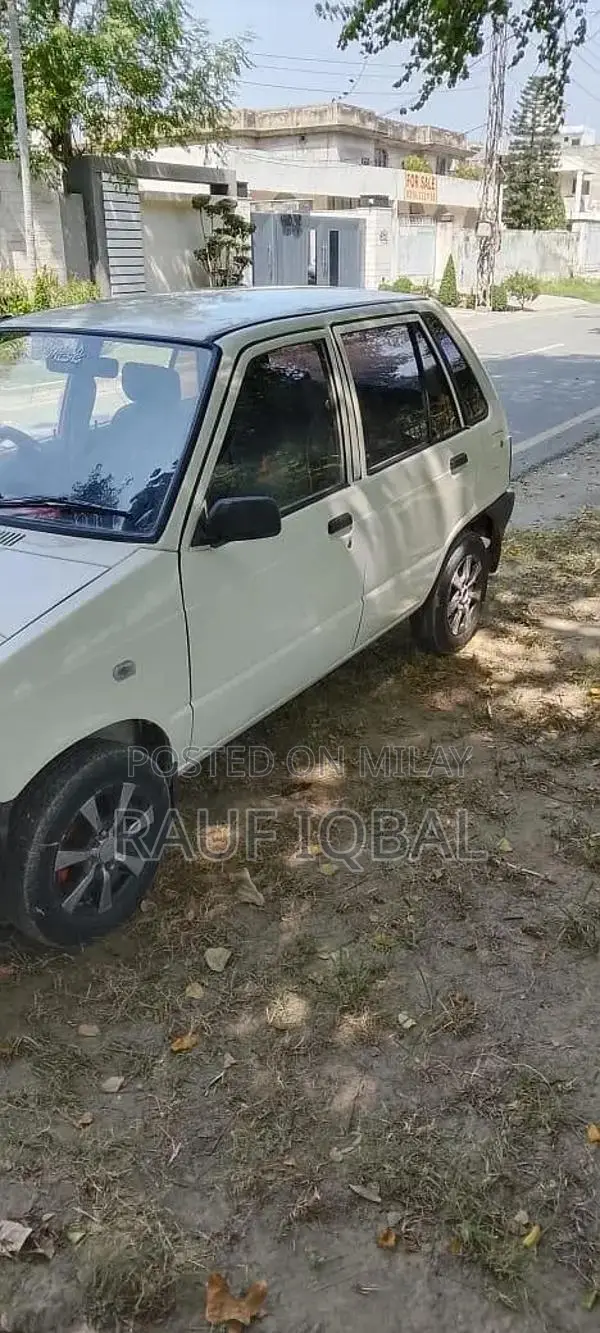 Automotive Vehicle with Multiple Door Options