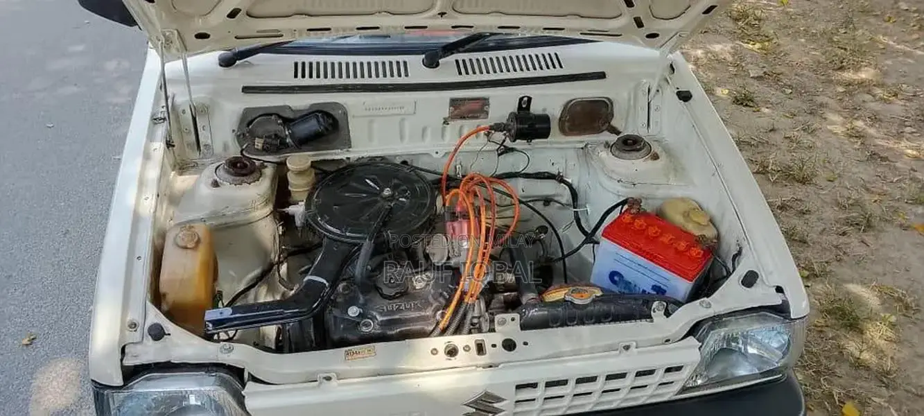 Automotive Vehicle with Multiple Door Options