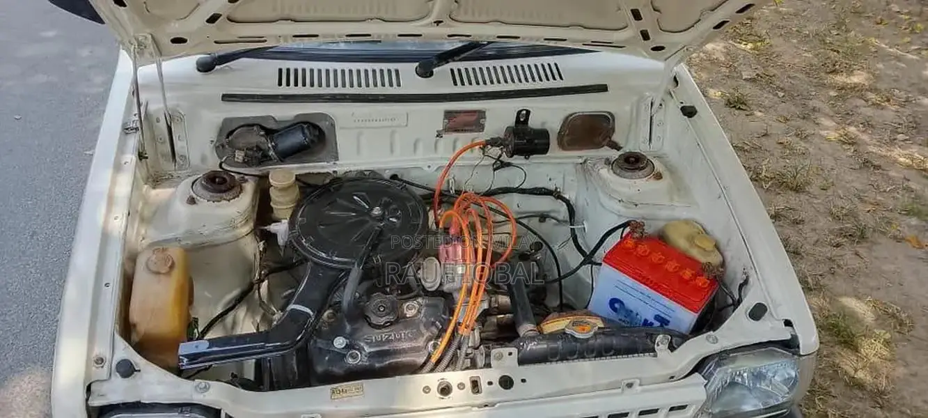 Automotive Vehicle with Multiple Door Options