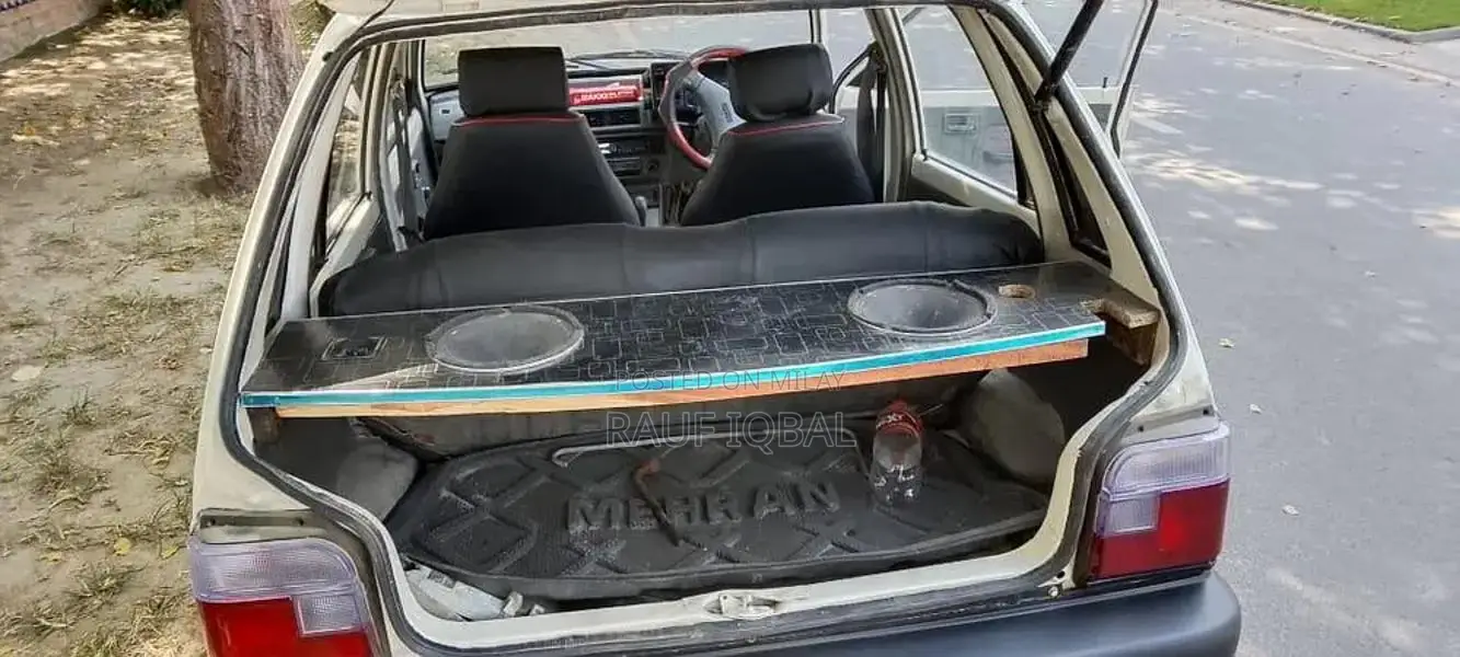 Automotive Vehicle with Multiple Door Options