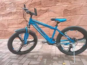 HK Mountain Bike 24-Inch Blue Bicycle with Dual Disk Brakes