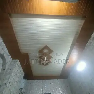 Decorative Wall Panels and Ceiling Design Options