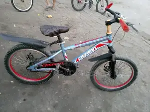 20" Caspian Dual Disc Brake Sports Kids Bicycle - Black/Red