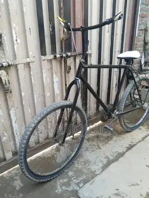 Classic Bicycle for Urban and Recreational Cycling