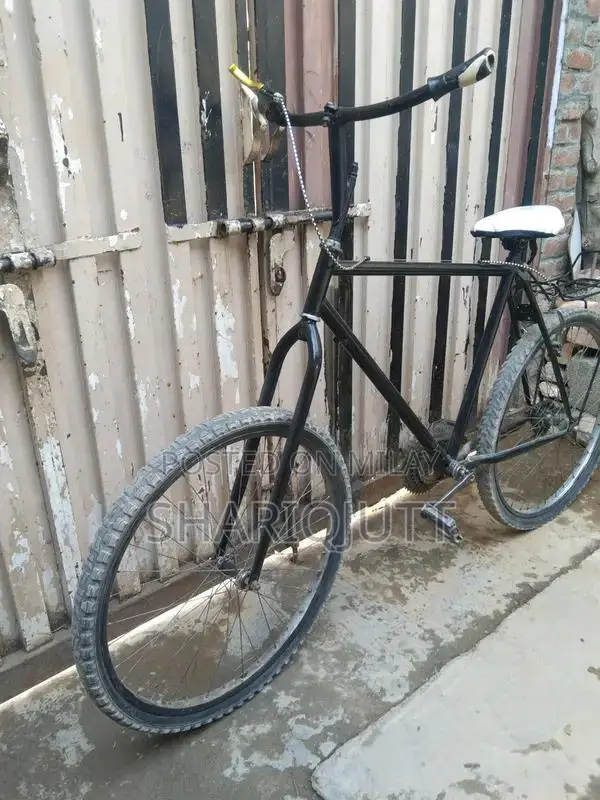 Classic Bicycle for Urban and Recreational Cycling