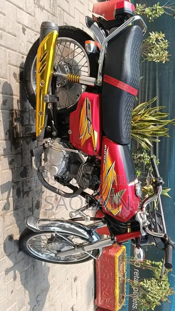 Organic Number Plate Vehicle Accessory