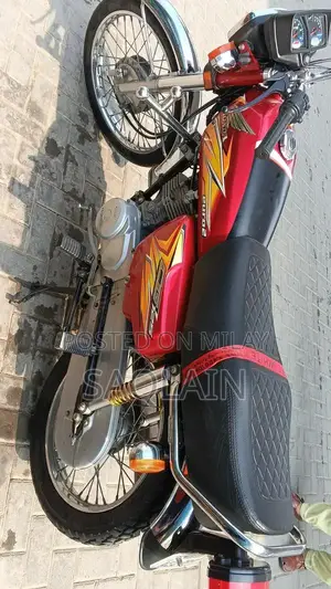 Organic Number Plate Vehicle Accessory