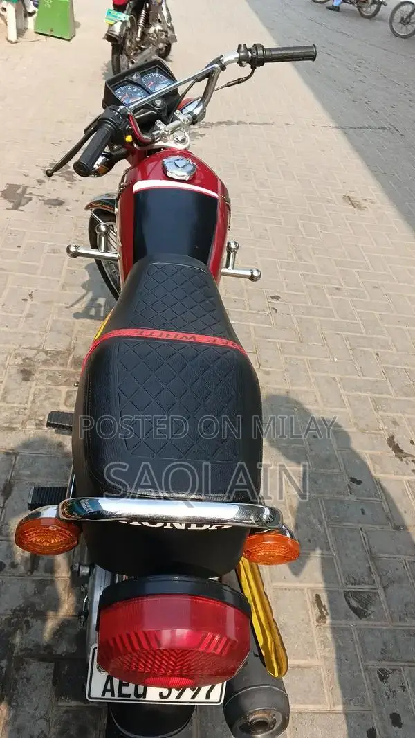 Organic Number Plate Vehicle Accessory