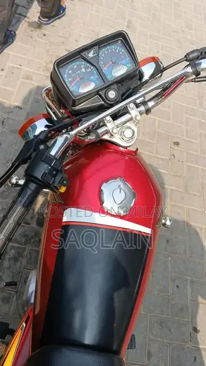 Organic Number Plate Vehicle Accessory