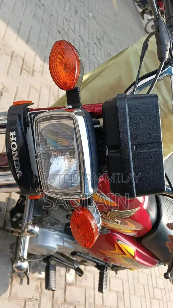 Organic Number Plate Vehicle Accessory