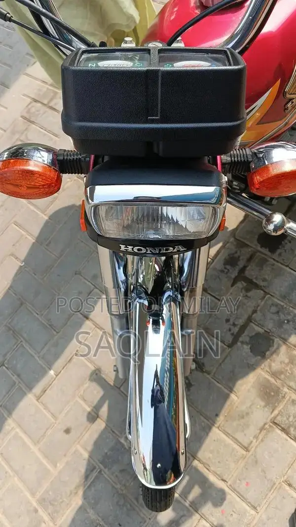 Organic Number Plate Vehicle Accessory