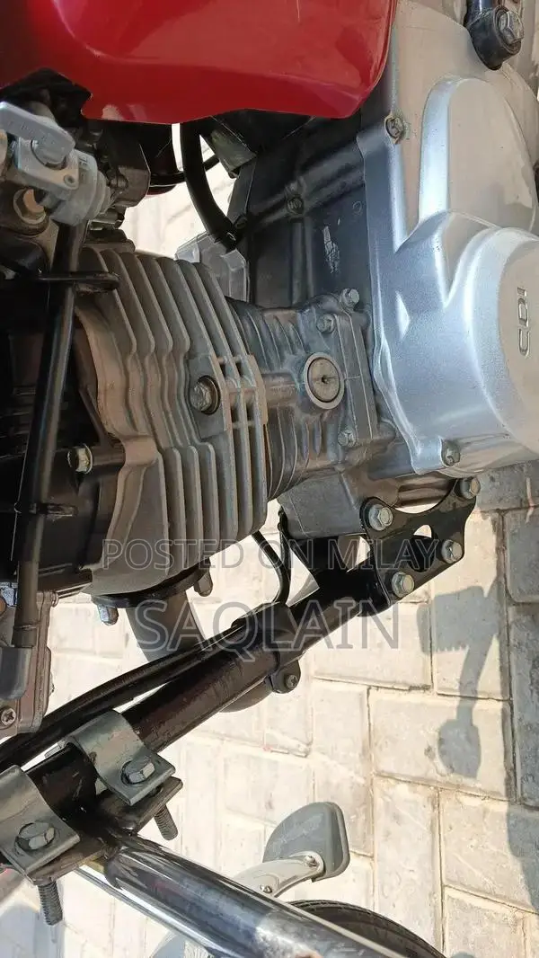 Organic Number Plate Vehicle Accessory