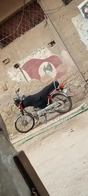 Genioun Bike - Lightly Used Red Express Model