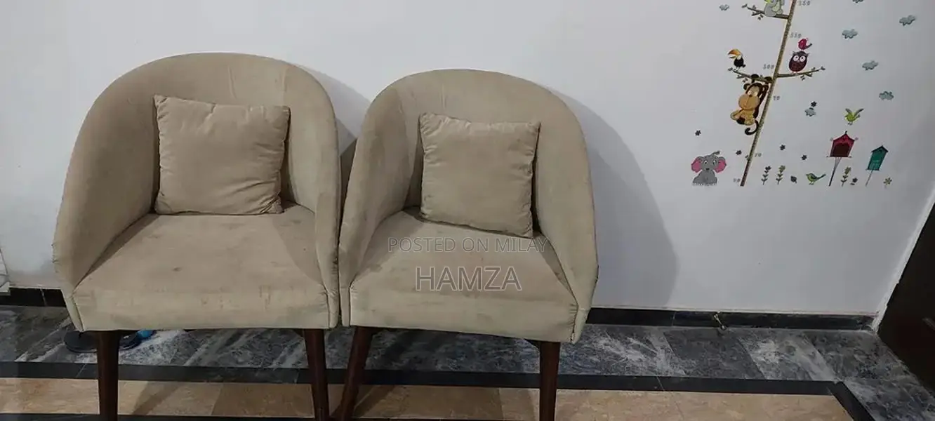 Complete Living Room Set: 2-Seater Sofa, Chairs, and Coffee Table