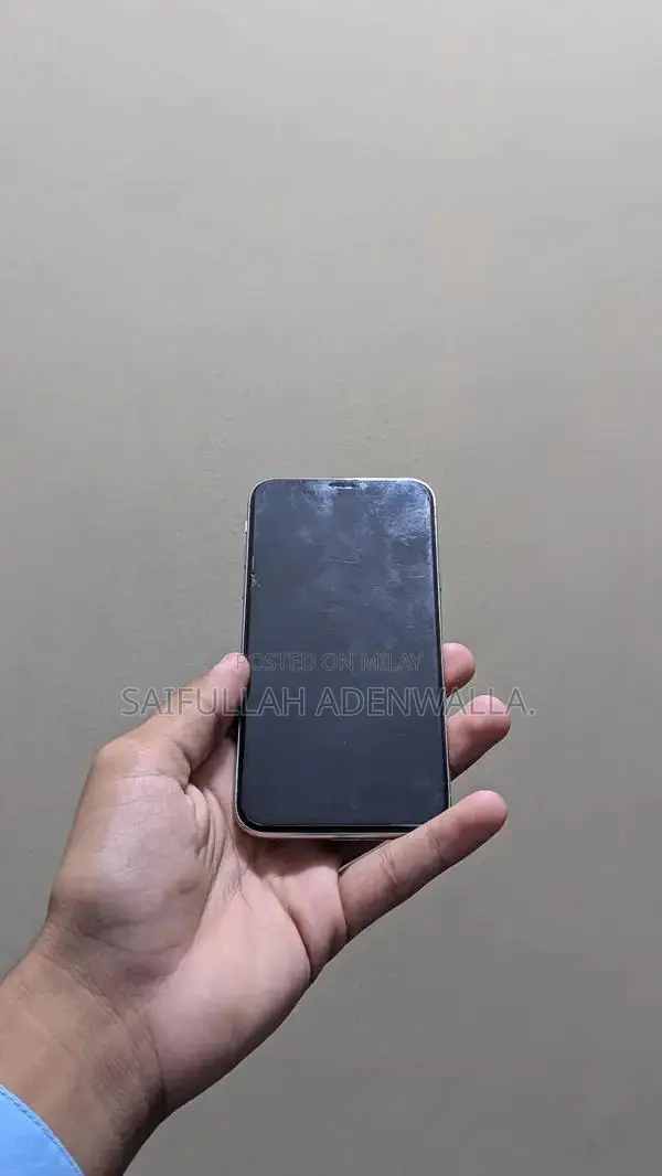 Apple iPhone X 256GB Premium Smartphone