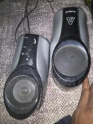 Portable Mono Speaker with Mobile Connectivity